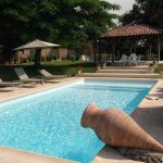 gite - LE PETIT LANDAIS - CLERMONT - Landes