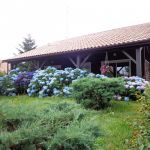 gite - La grange du Clédon - ST-GEOURS-DE-MAREMNE - Landes