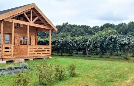 G&icirc;te n&deg;10803 Saint-Geours-de-Maremne - Landes - photo