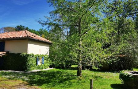 G&icirc;te n&deg;20884 Tarnos - Landes - photo