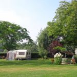 camping - Camping BERTRANBORDE - RIVIERE SAAS ET GOURBY - Landes