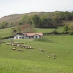 gite - LUR-XURI-BIDEAN - LOUHOSSOA - Pyr&eacute;n&eacute;es-Atlantiques