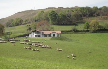 G&icirc;te n&deg;G141055 Louhossoa - Pyr&eacute;n&eacute;es-Atlantiques - photo