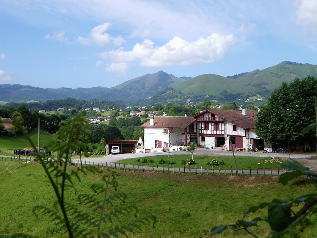 photo 0