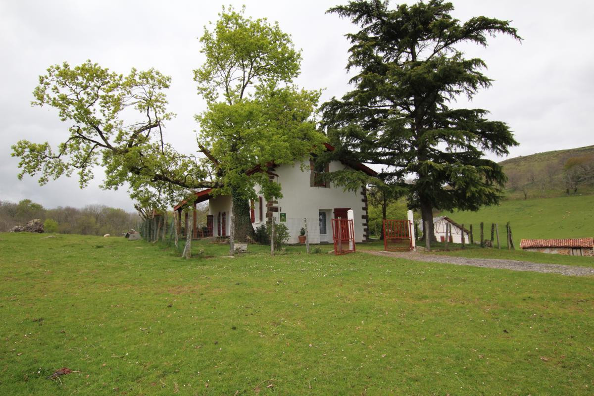 photo 0