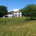 Vue g&eacute;n&eacute;rale d'Espeletenia