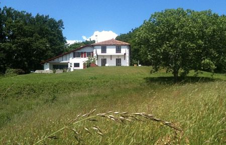 G&icirc;te n&deg;G151213 Ciboure - Pyr&eacute;n&eacute;es-Atlantiques - Vue g&eacute;n&eacute;rale d'Espeletenia