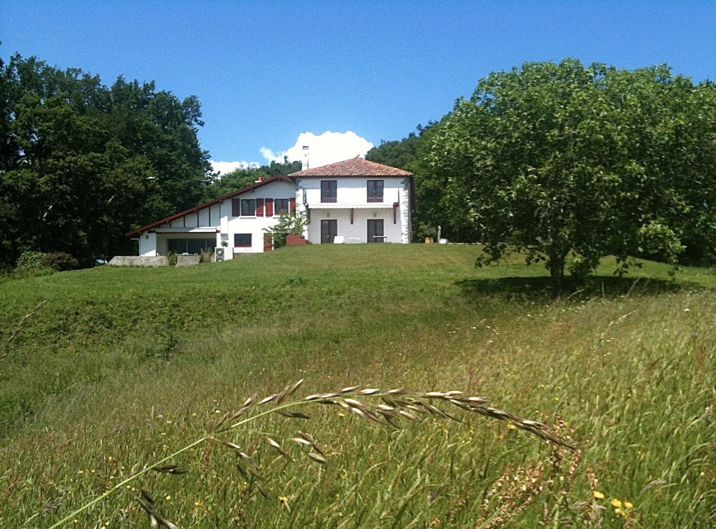 photo 0