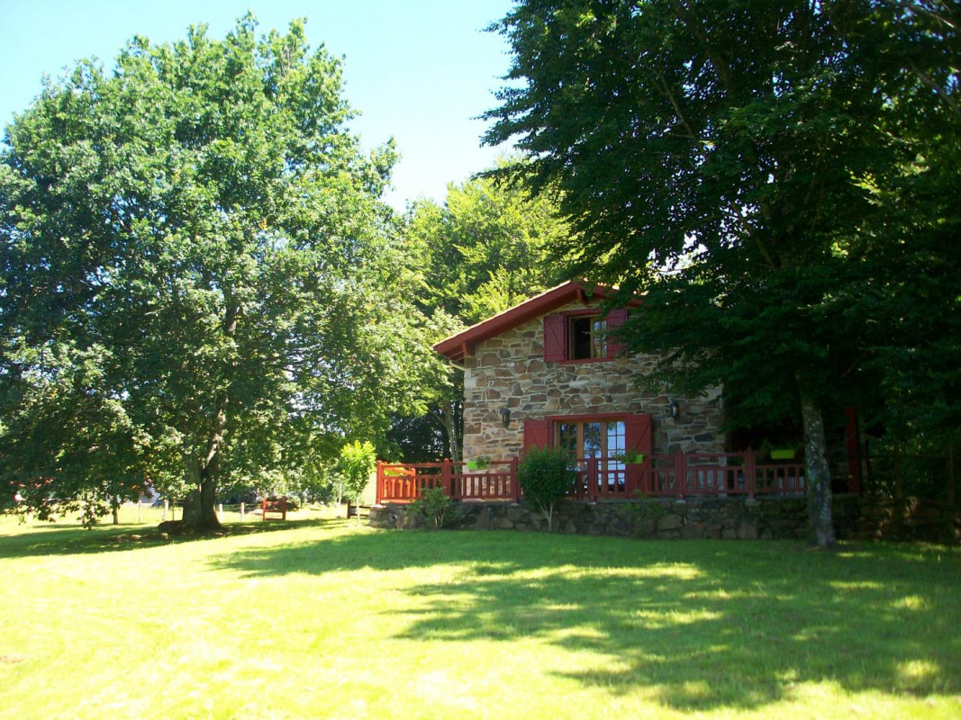 photo 0