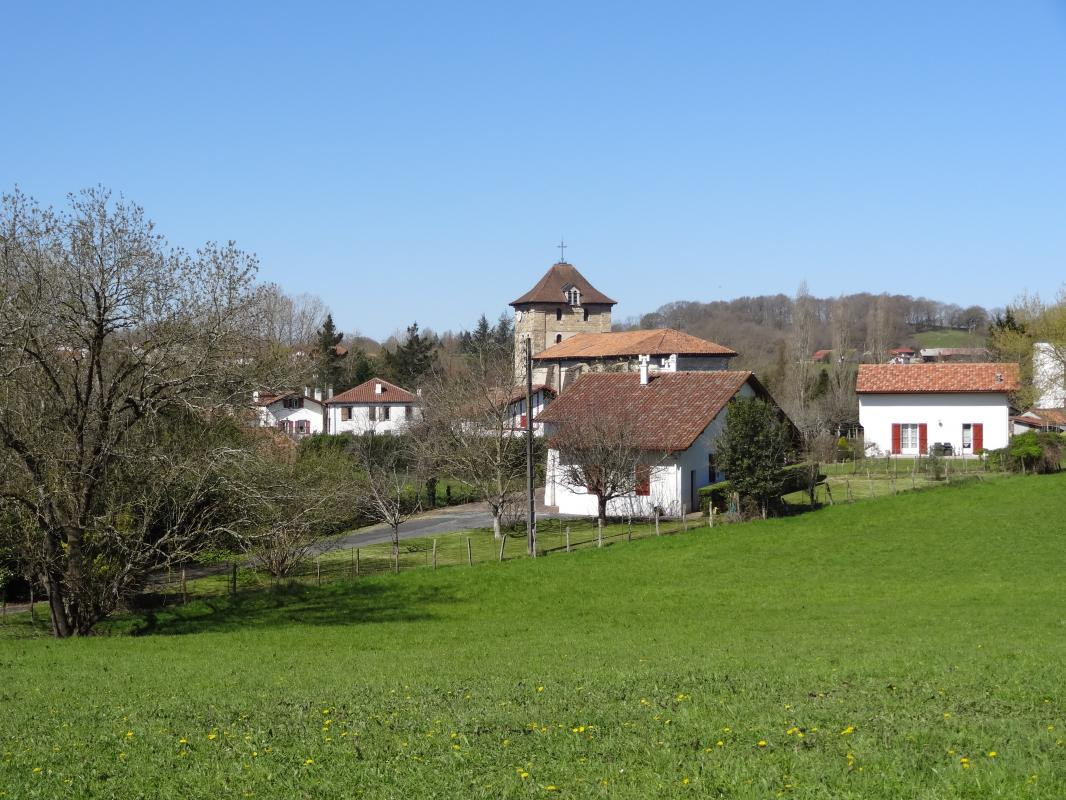 photo 24