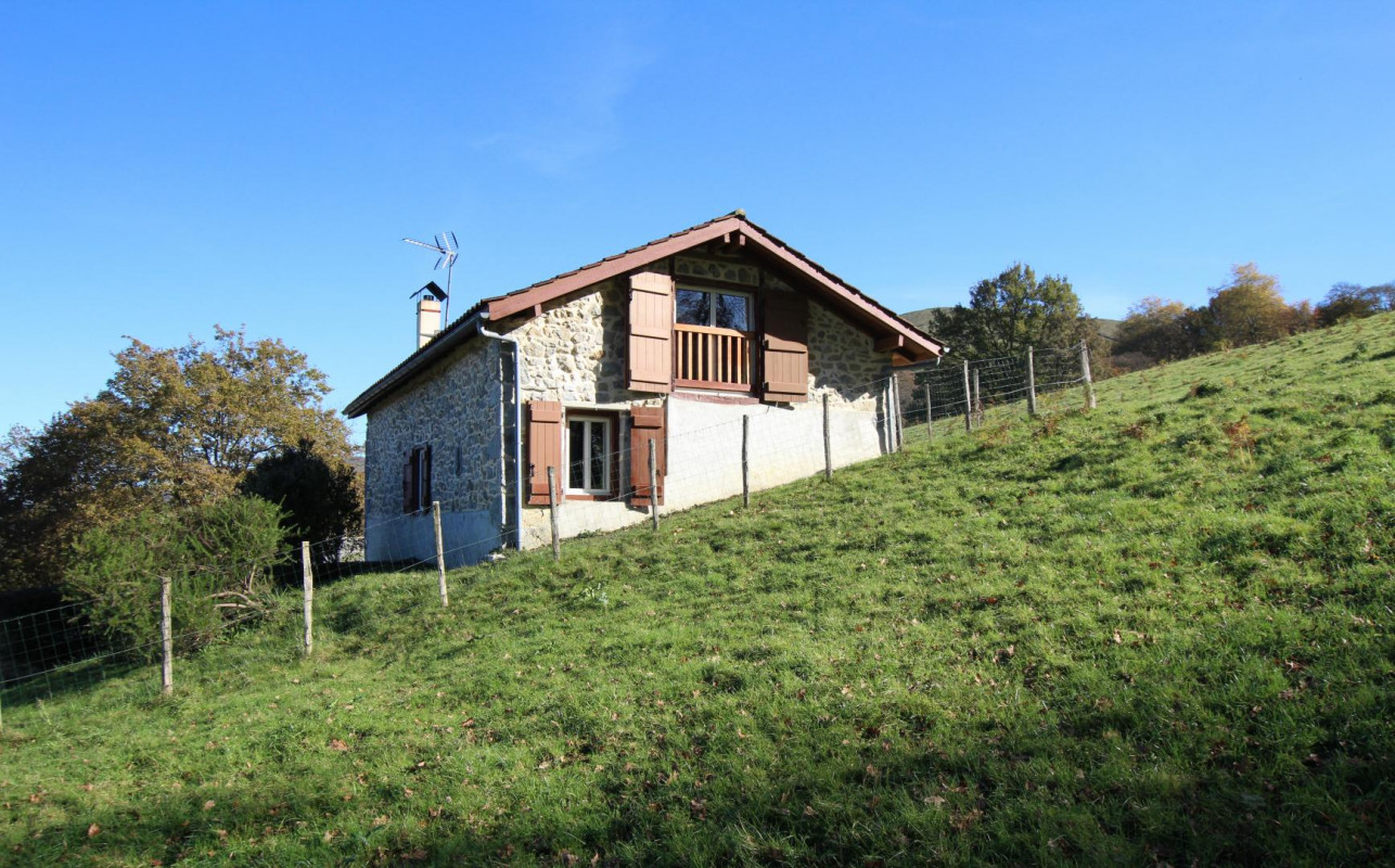 photo 0