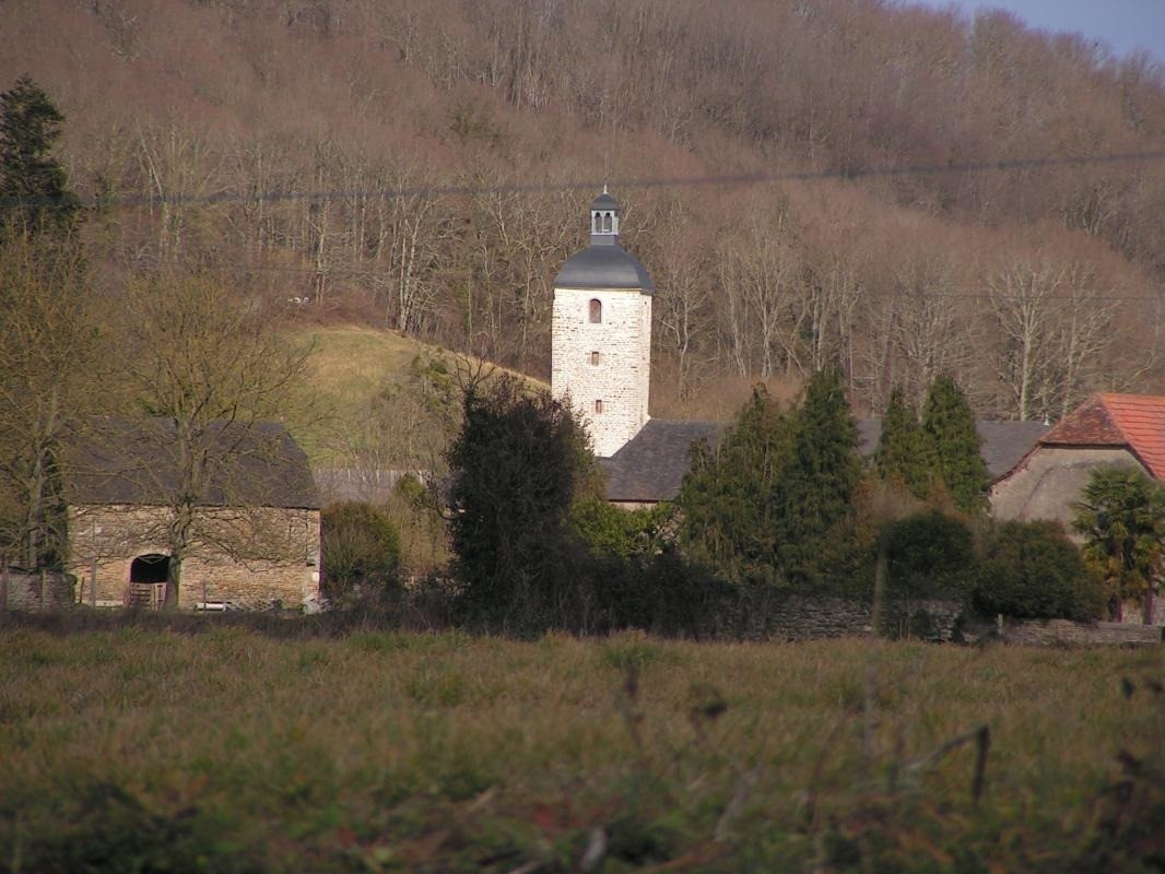 photo 40