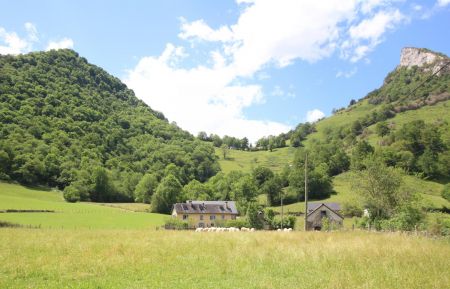 G&icirc;te n&deg;G113025 Lanne-en-Bar&eacute;tous - Pyr&eacute;n&eacute;es-Atlantiques - photo