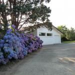 La maison en &eacute;t&eacute;