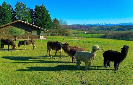 Gîte n°G142166 Bardos - Pyrénées-Atlantiques - photo